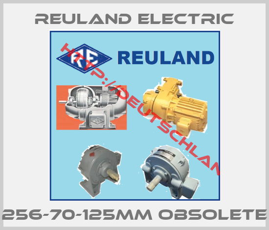 Reuland Electric-256-70-125MM obsolete