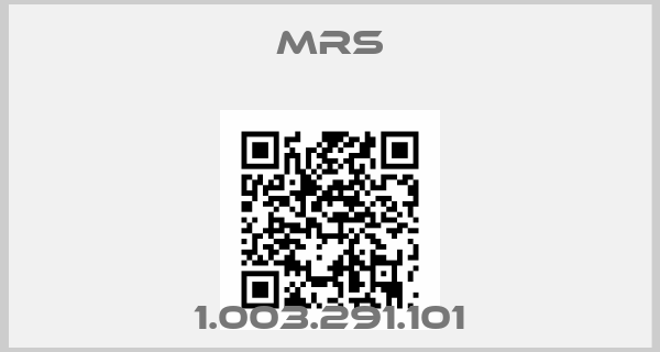 MRS-1.003.291.101