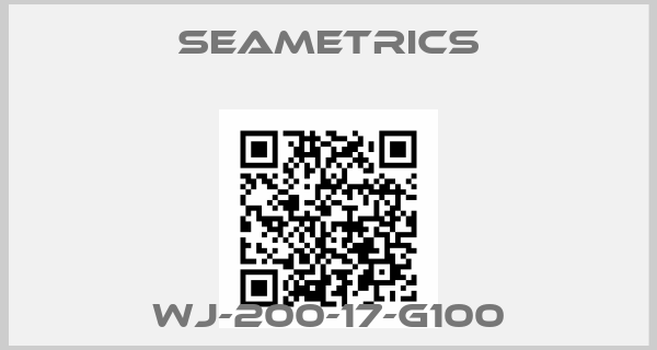 Seametrics-WJ-200-17-G100