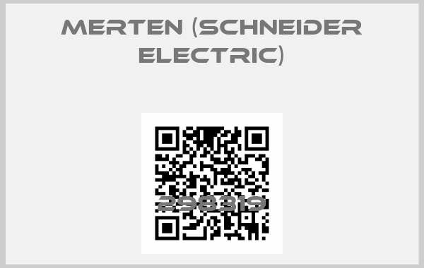 Merten (Schneider Electric)-298319