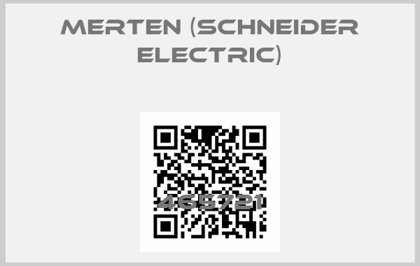 Merten (Schneider Electric)-465721