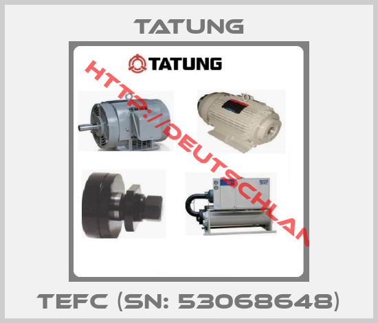 TATUNG-TEFC (SN: 53068648)