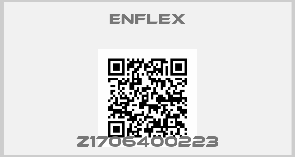 Enflex-Z1706400223