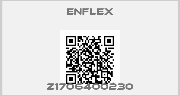 Enflex-Z1706400230