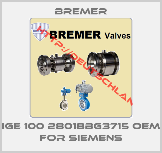 BREMER-IGE 100 28018BG3715 OEM for Siemens