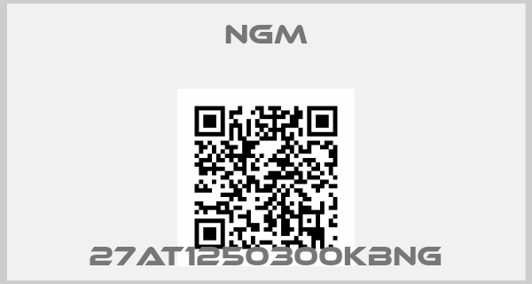 NGM-27at1250300kbng