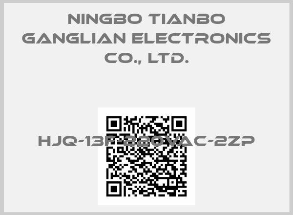 Ningbo Tianbo Ganglian Electronics Co., Ltd.-HJQ-13F-220VAC-2ZP
