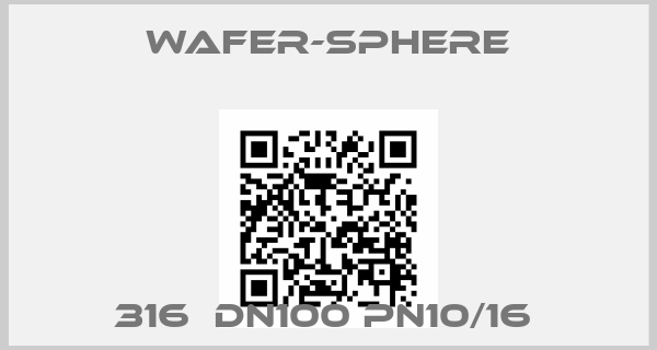 Wafer-Sphere-316  DN100 PN10/16 