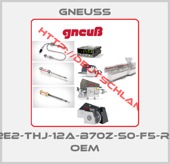 Gneuss-DTAI-2E2-THJ-12A-B70Z-S0-F5-R-W-6P OEM