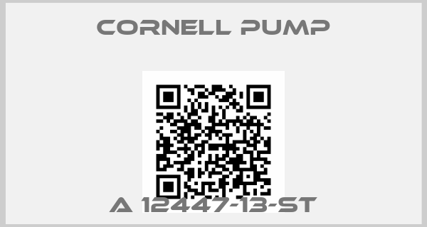 Cornell Pump-A 12447-13-ST