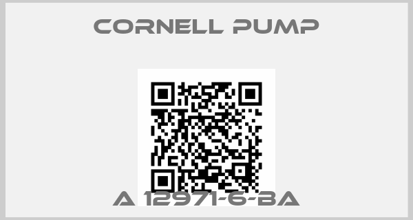 Cornell Pump-A 12971-6-BA