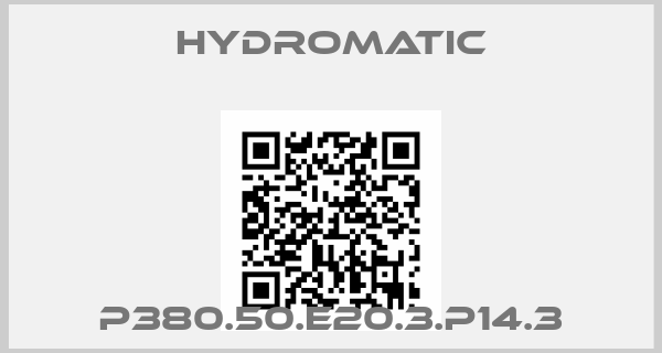 Hydromatic-P380.50.E20.3.P14.3