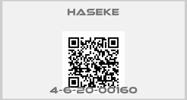 Haseke-4-6-20-00160