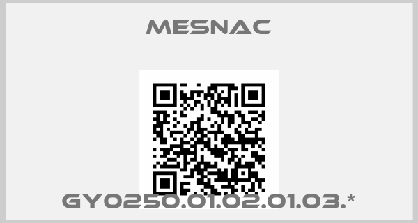 Mesnac-GY0250.01.02.01.03.*