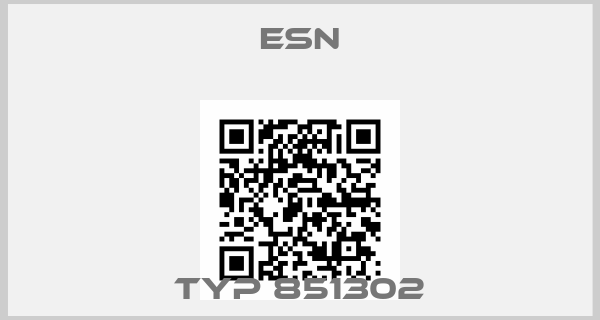 ESN-Typ 851302