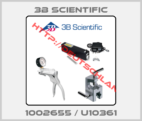 3B Scientific-1002655 / U10361