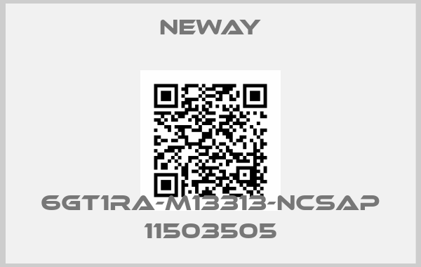 neway-6GT1RA-M13313-NCSAP 11503505
