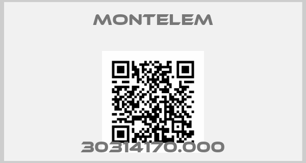 MONTELEM-30314170.000
