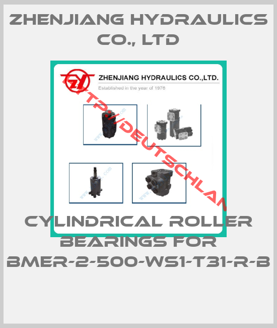 ZHENJIANG HYDRAULICS CO., LTD-Cylindrical roller bearings for BMER-2-500-WS1-T31-R-B