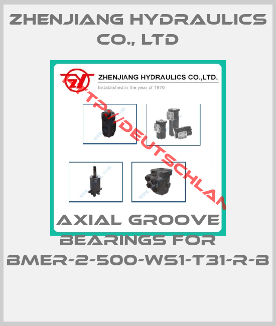 ZHENJIANG HYDRAULICS CO., LTD-Axial groove bearings for BMER-2-500-WS1-T31-R-B