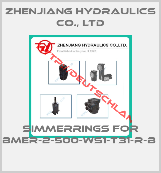ZHENJIANG HYDRAULICS CO., LTD-Simmerrings for BMER-2-500-WS1-T31-R-B 