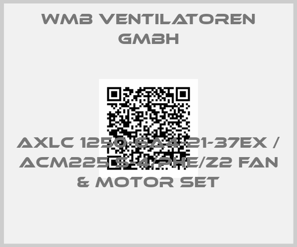 WMB Ventilatoren GmbH-AXLC 1250-6A4-21-37EX / ACM225 S-4/PHE/Z2 Fan & motor set