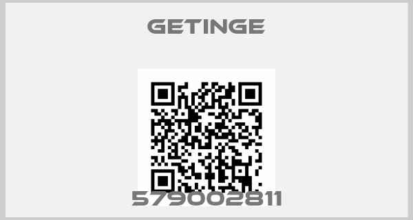 Getinge-579002811