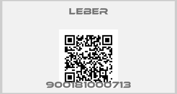 LEBER-900181000713