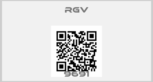 RGV-9691