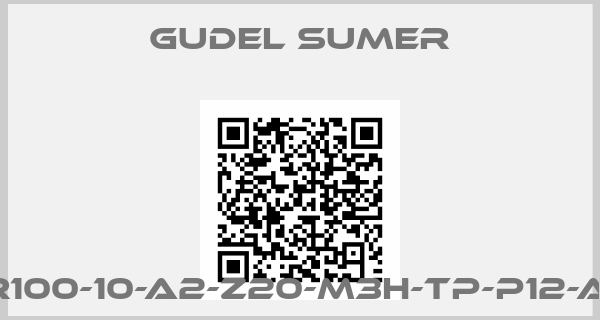 GUDEL SUMER-NR100-10-A2-Z20-M3H-TP-P12-AM