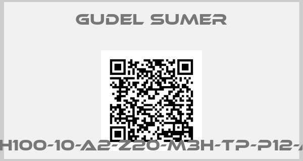 GUDEL SUMER-NRH100-10-A2-Z20-M3H-TP-P12-AM