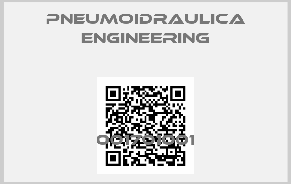 Pneumoidraulica Engineering-001701001