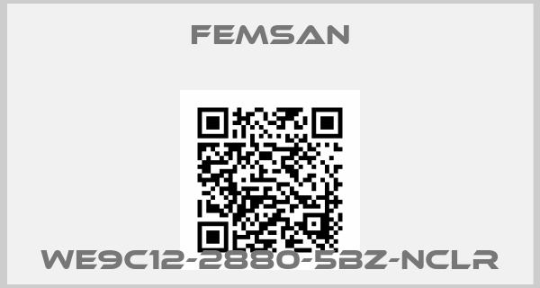 FEMSAN-WE9C12-2880-5BZ-NCLR