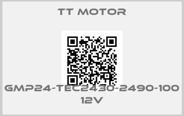TT motor-GMP24-TEC2430-2490-100 12V