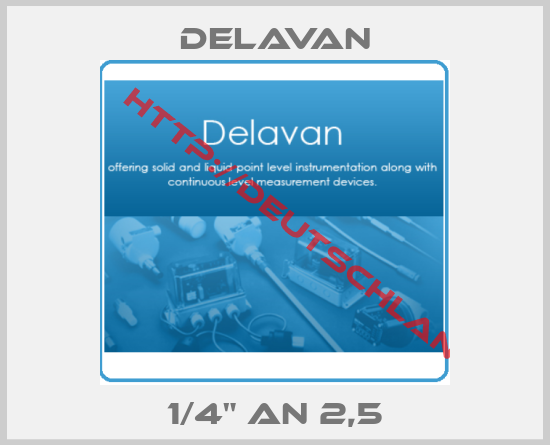 Delavan-1/4" AN 2,5