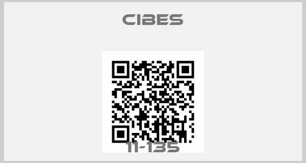 Cibes-11-135