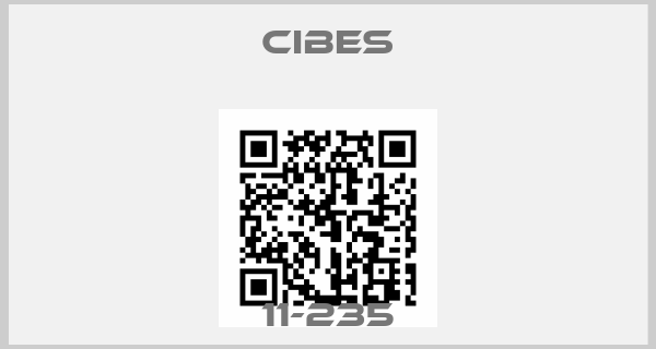 Cibes-11-235