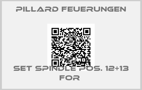 Pillard Feuerungen-SET SPINDLE POS. 12+13 FOR 