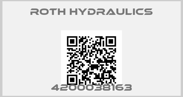 Roth Hydraulics-4200038163
