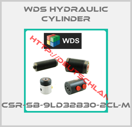WDS Hydraulic cylinder-CSR-SB-9LD32B30-2CL-M