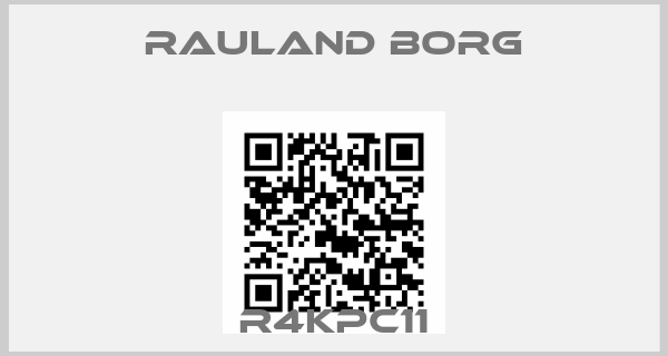 RAULAND BORG-R4KPC11