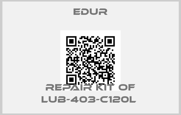 Edur-REPAIR KIT OF LUB-403-C120L 