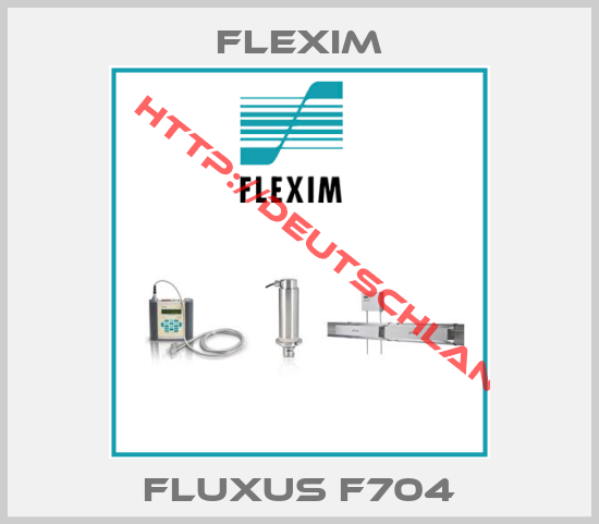 Flexim-Fluxus F704