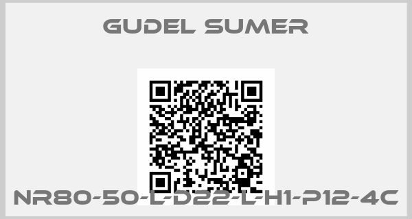 GUDEL SUMER-NR80-50-L-D22-L-H1-P12-4C