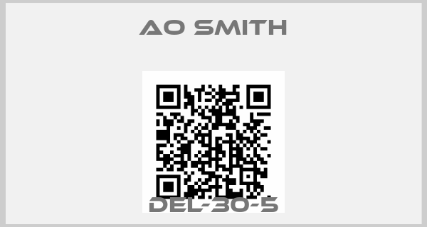 AO Smith-DEL-30-5