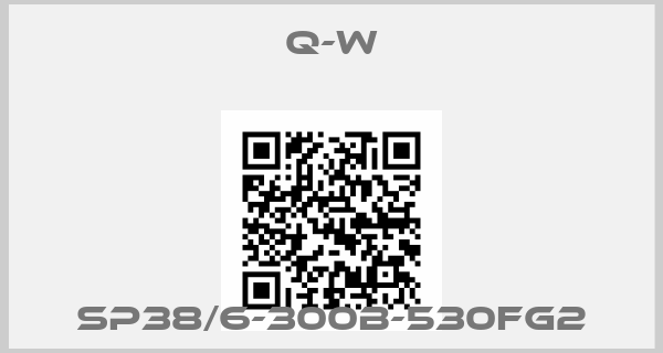 Q-W-SP38/6-300b-530FG2