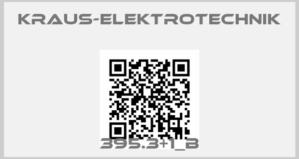 kraus-elektrotechnik-395.3+1_B