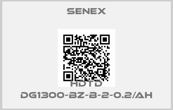 Senex-HDTD DG1300-BZ-B-2-0.2/AH