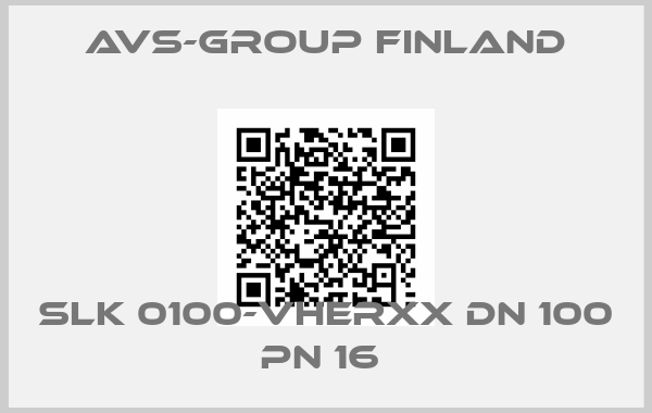 AVS-Group Finland-SLK 0100-VHERXX DN 100 PN 16 