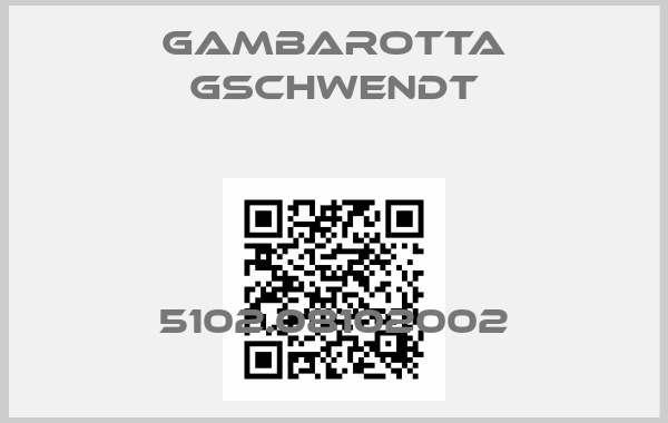 Gambarotta Gschwendt-5102.08102002